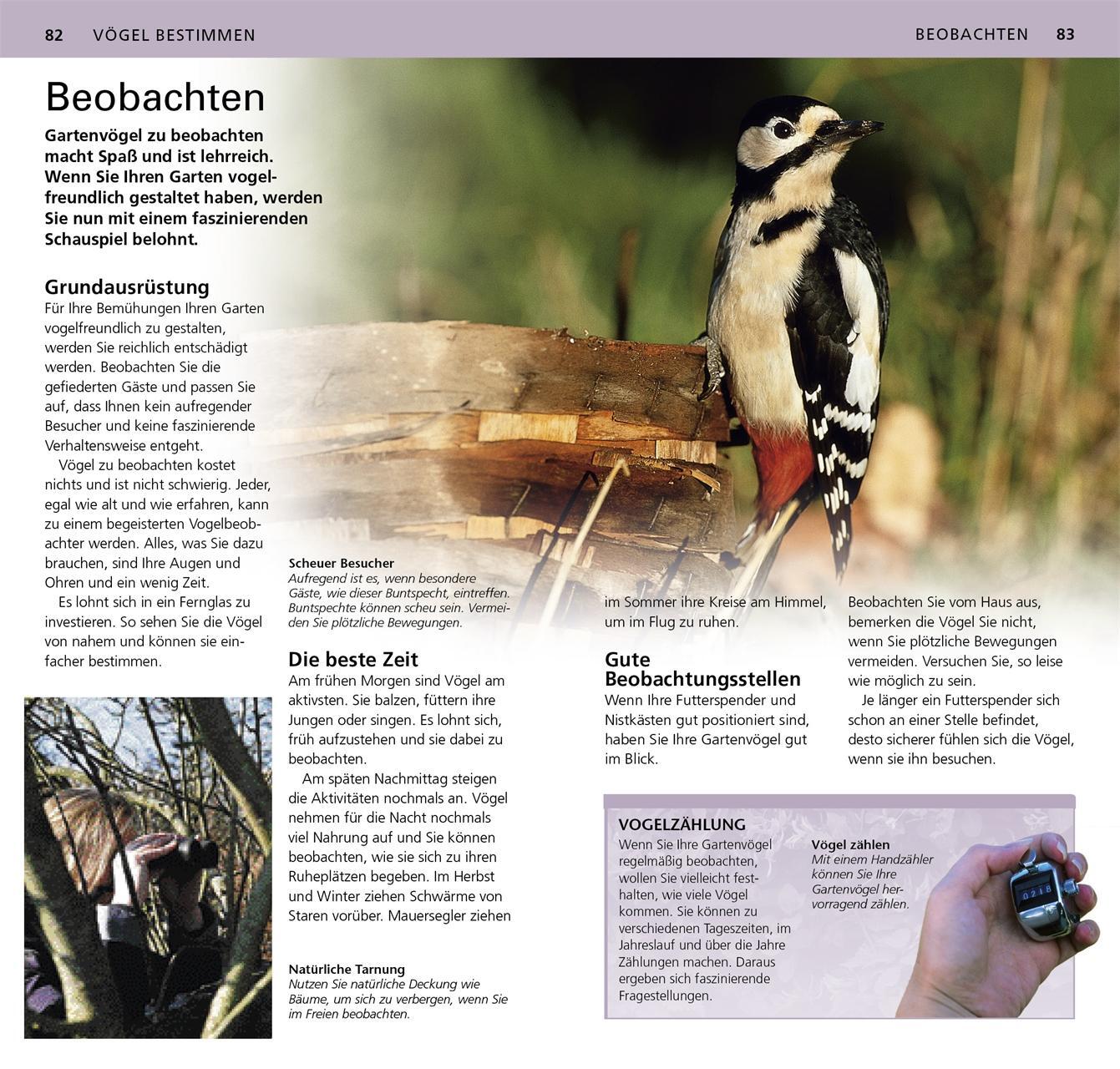 Bild: 9783831027545 | Gartenvögel beobachten und bestimmen | Mark Ward | Taschenbuch | 2015