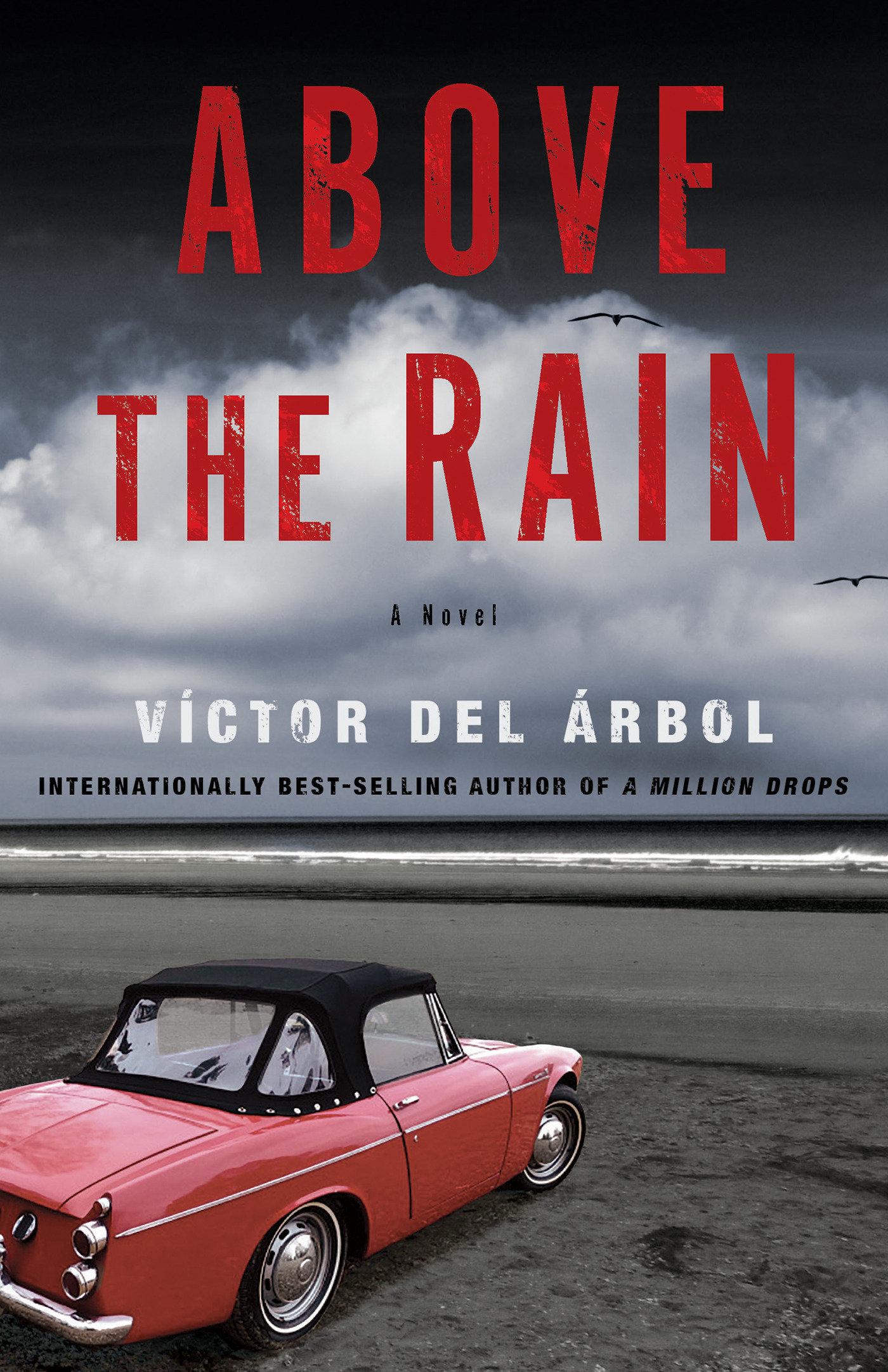 Cover: 9781635429954 | Above the Rain | A Novel | Lisa Dillman (u. a.) | Taschenbuch | 2021