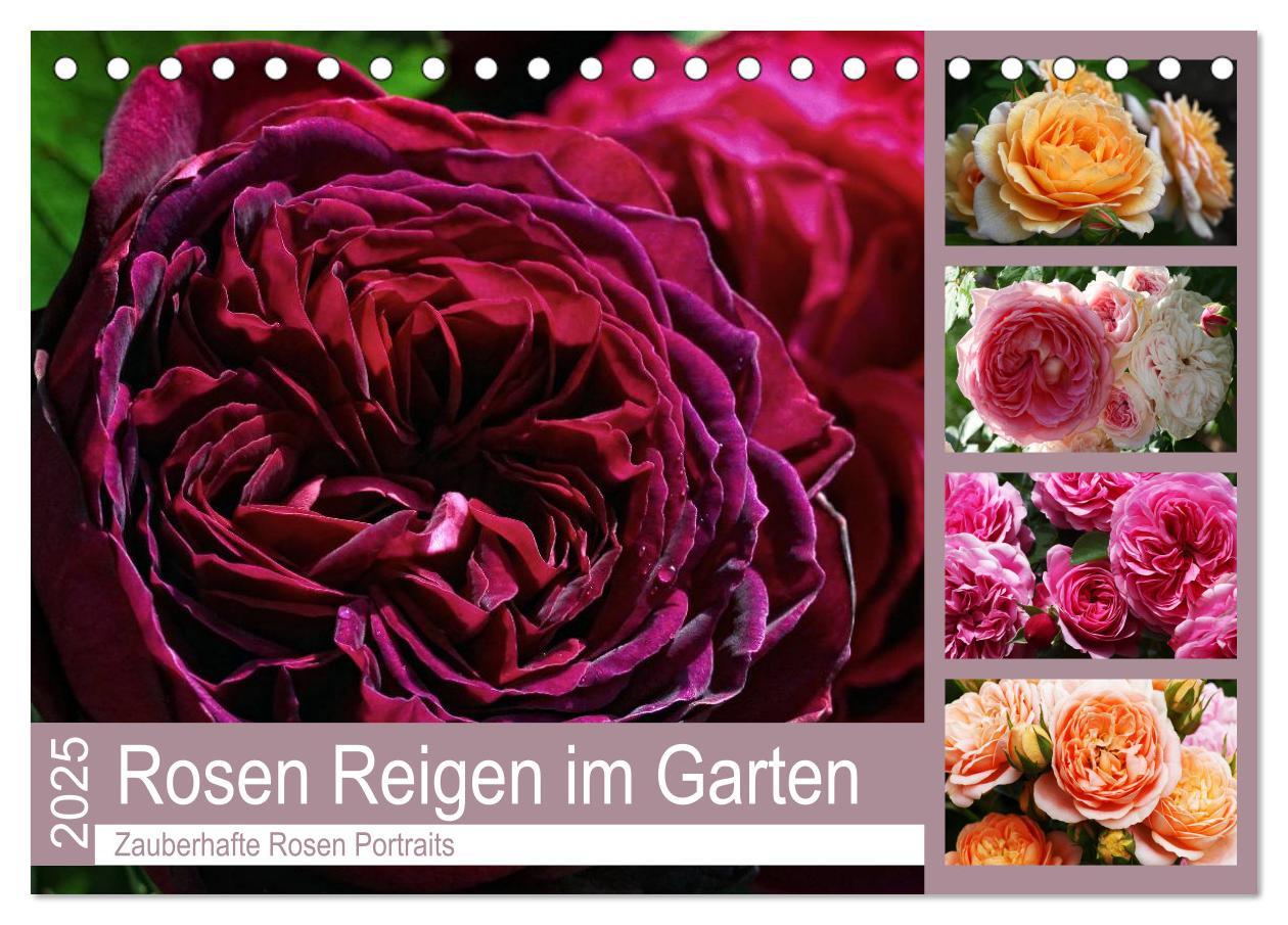 Cover: 9783435452309 | Rosen Reigen im Garten (Tischkalender 2025 DIN A5 quer), CALVENDO...