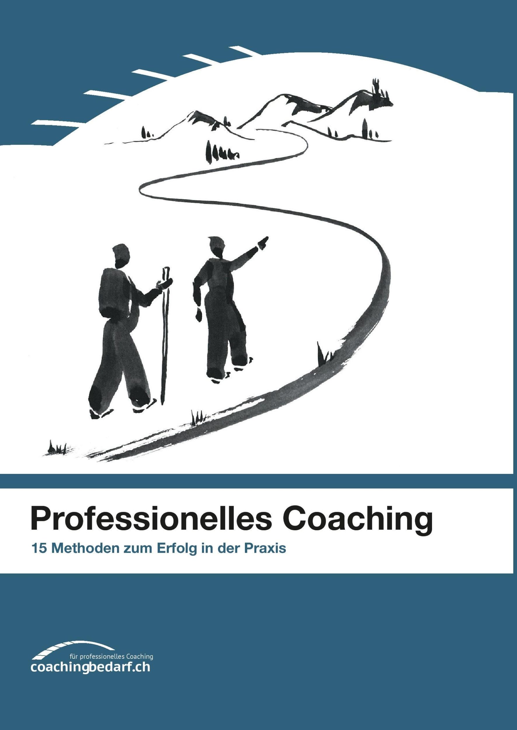 Cover: 9783741238567 | Professionelles Coaching | 15 Methoden zum Erfolg in der Praxis | Buch