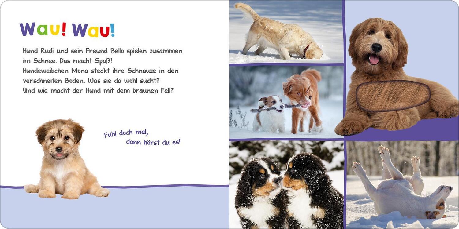 Bild: 9783845848082 | Hör mal rein, wer kann das sein? - Kleine Tiere im Schnee | Buch