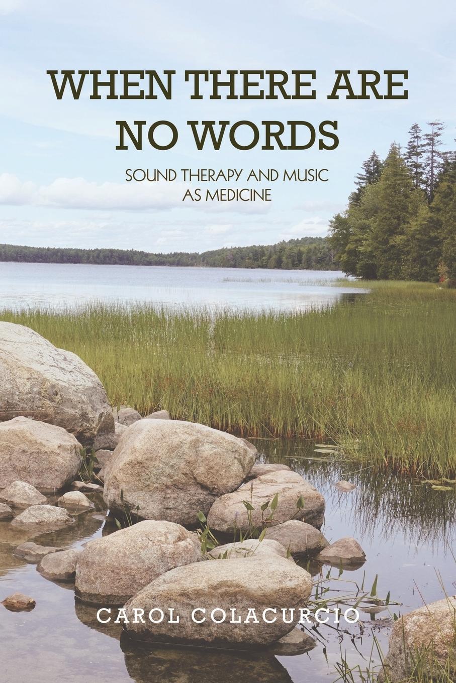 Cover: 9781796066609 | When There Are No Words | Sound Therapy and Music as Medicine | Buch