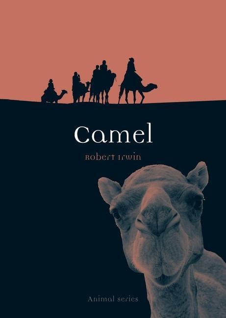 Cover: 9781861896490 | Camel | Robert Irwin | Taschenbuch | Englisch | 2010 | Reaktion Books