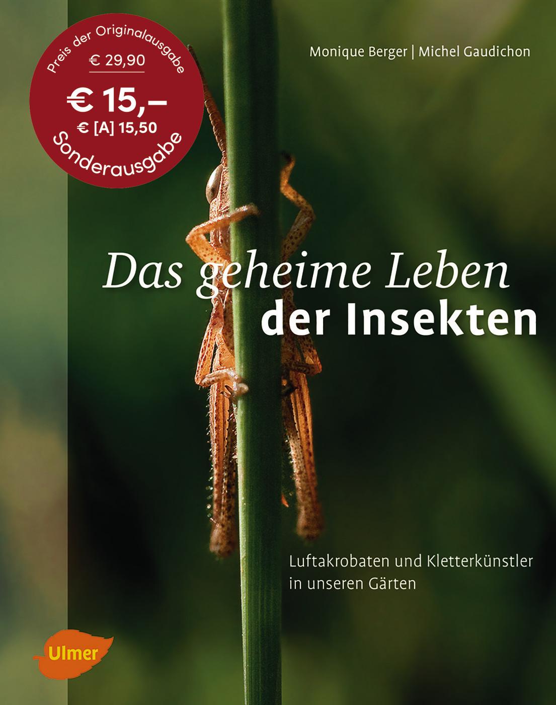 Cover: 9783800103829 | Das geheime Leben der Insekten | Monique Berger (u. a.) | Taschenbuch