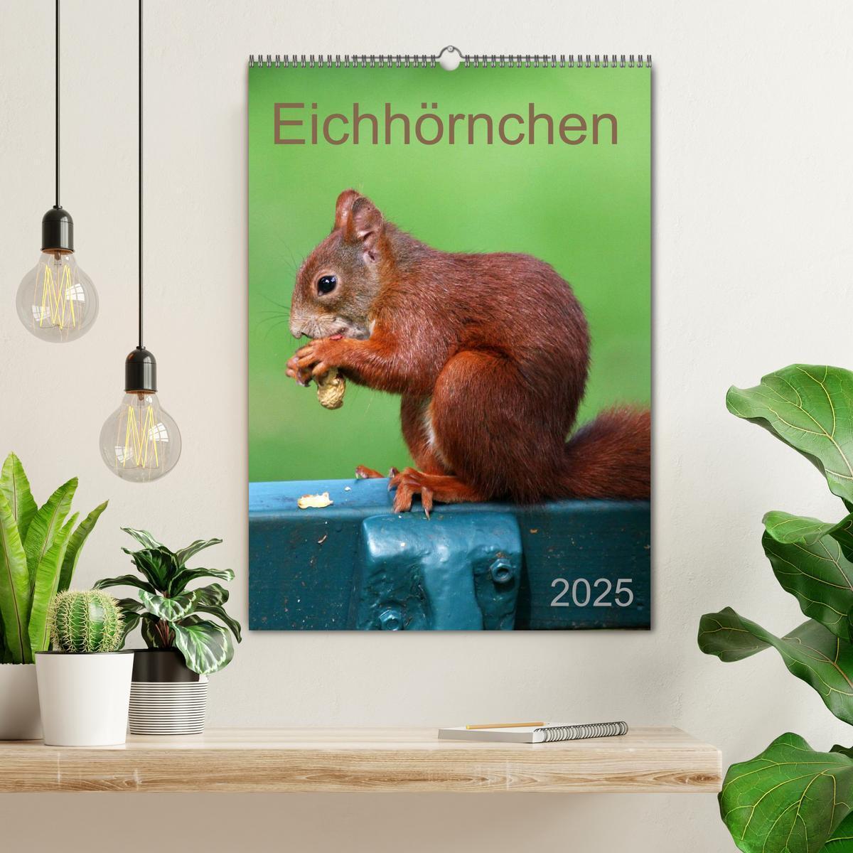 Bild: 9783457080528 | Eichhörnchen (Wandkalender 2025 DIN A2 hoch), CALVENDO Monatskalender