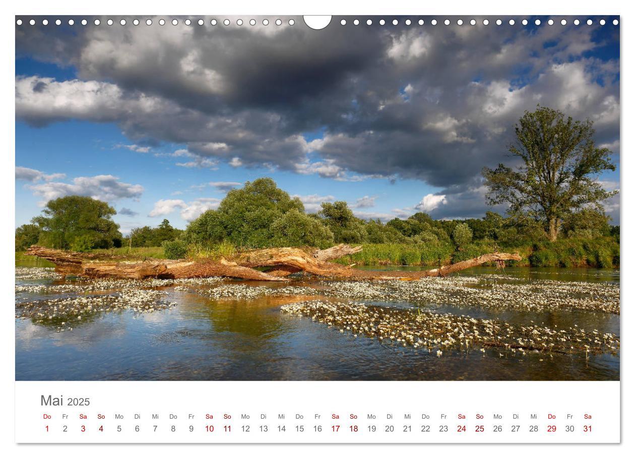 Bild: 9783435194278 | Dessau Design und ein schöner Park (Wandkalender 2025 DIN A3 quer),...