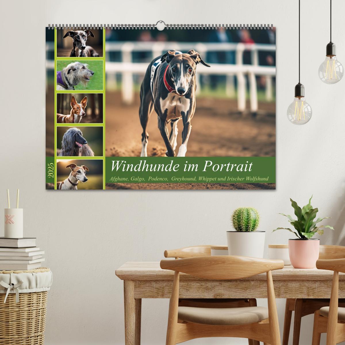 Bild: 9783457162163 | Windhunde im Portrait (Wandkalender 2025 DIN A2 quer), CALVENDO...