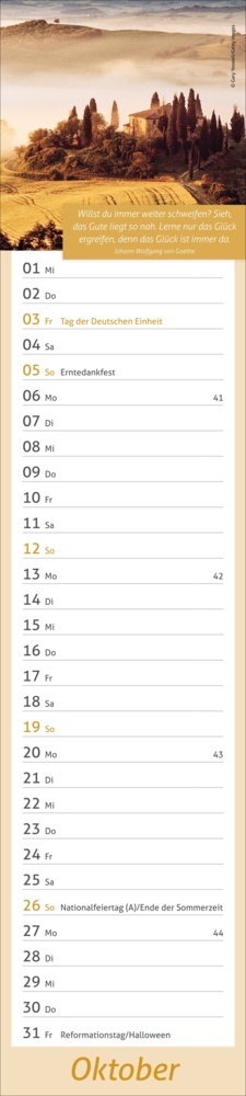 Bild: 9783756406715 | Tage voller Glück Langplaner 2025 | Kalender | Spiralbindung | 13 S.