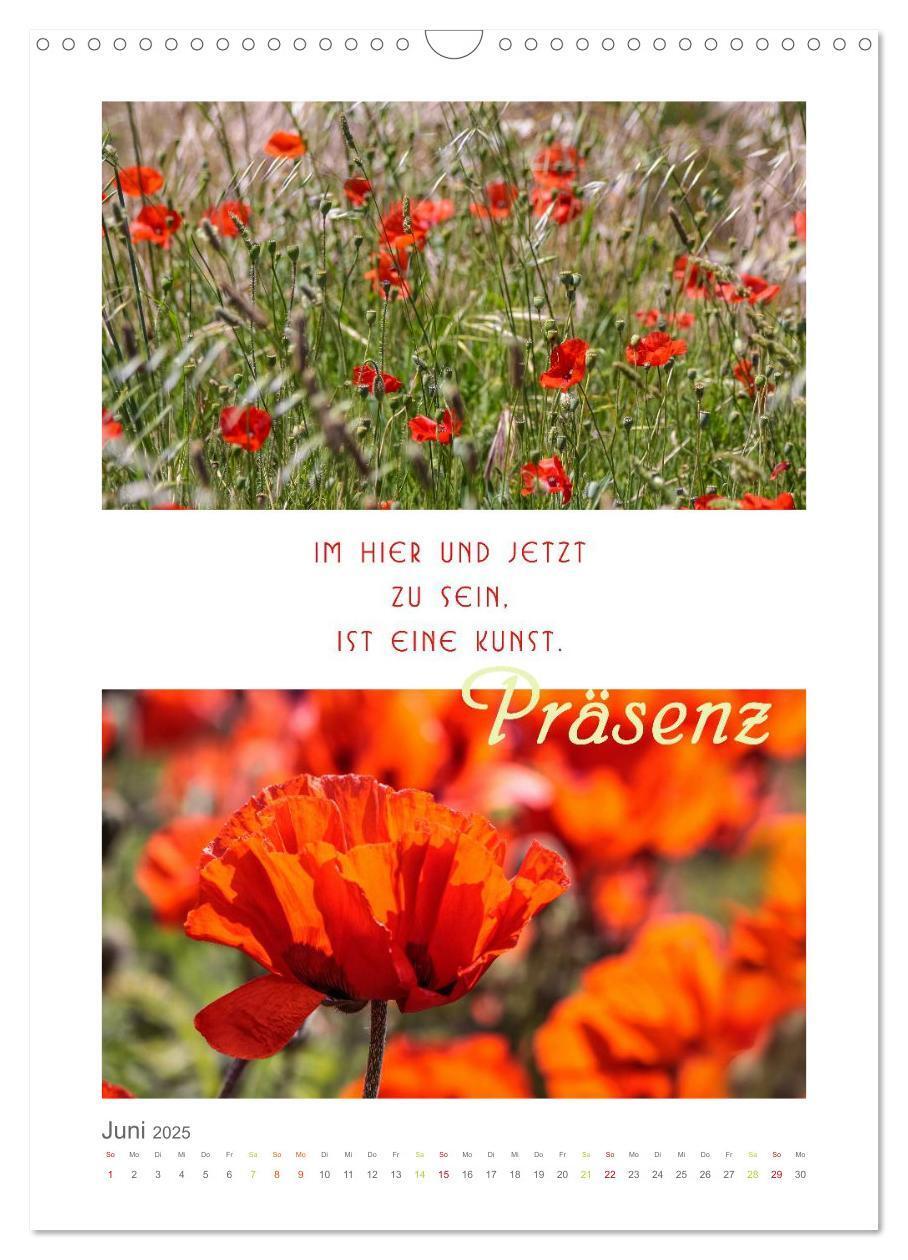 Bild: 9783457028407 | Quellen der Inspiration (Wandkalender 2025 DIN A3 hoch), CALVENDO...