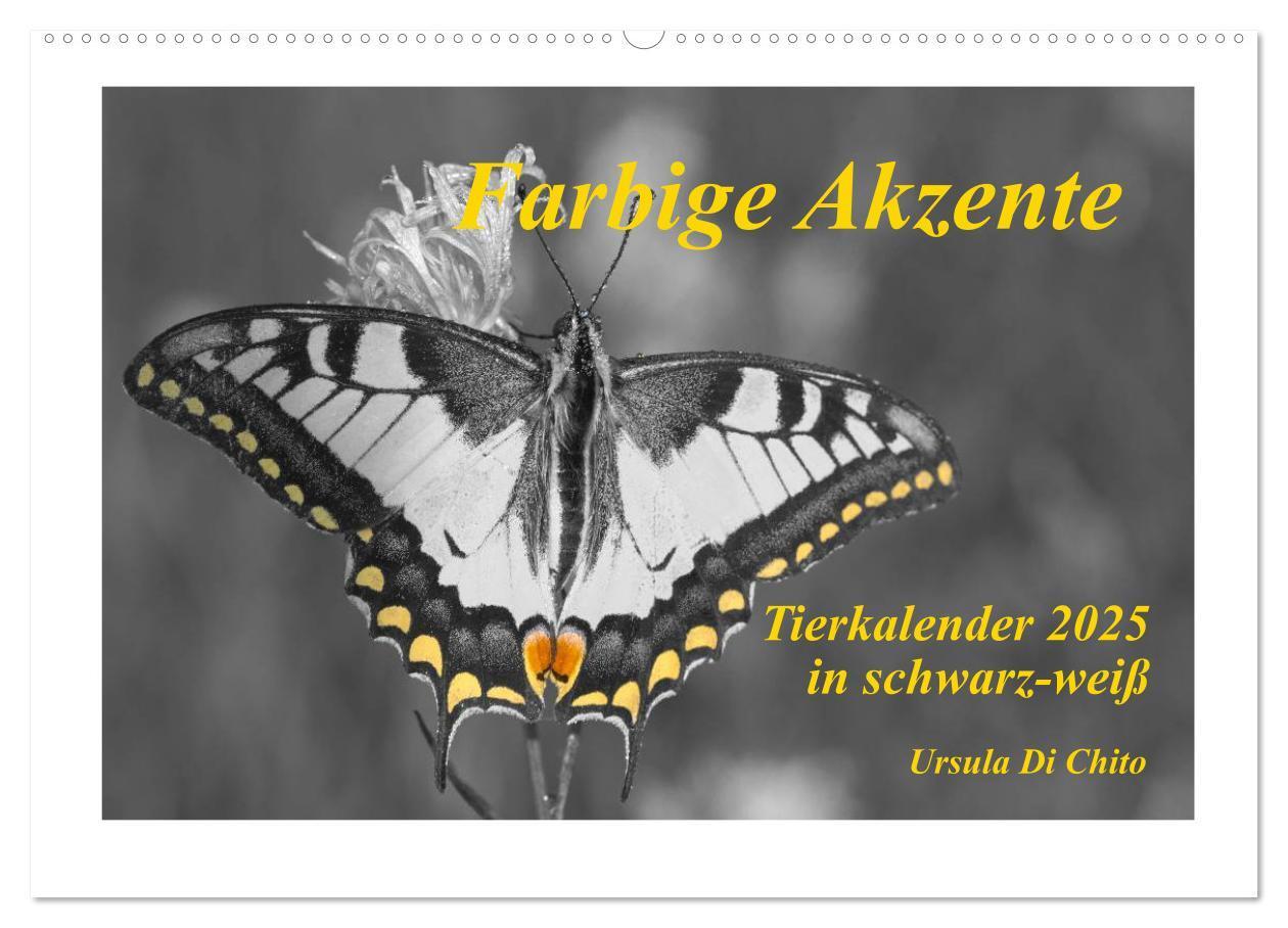 Cover: 9783435762316 | Farbige Akzente - Tierkalender 2025 in schwarz-weiß (Wandkalender...