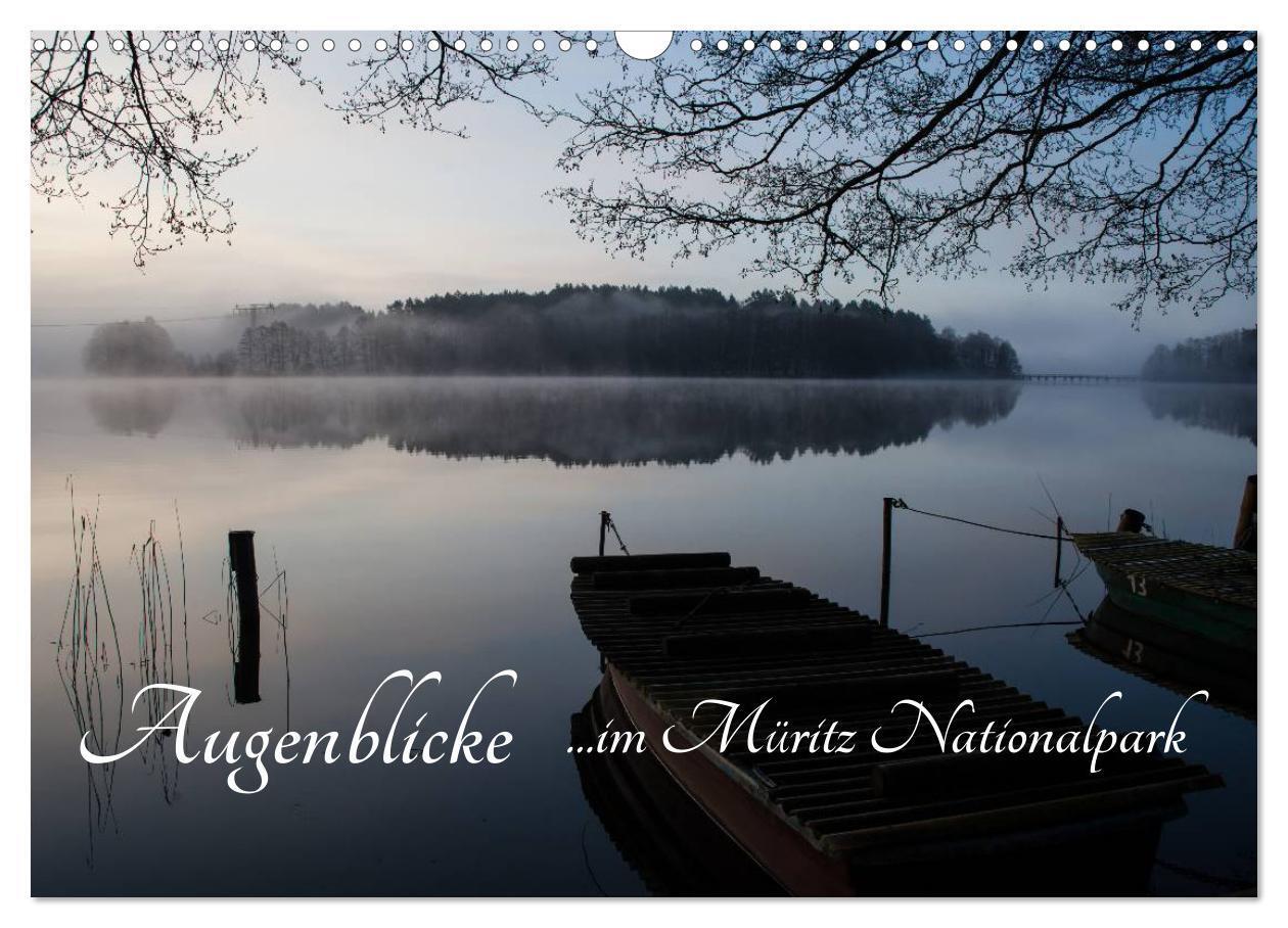 Cover: 9783435535842 | Augenblicke im Müritz Nationalpark (Wandkalender 2025 DIN A3 quer),...