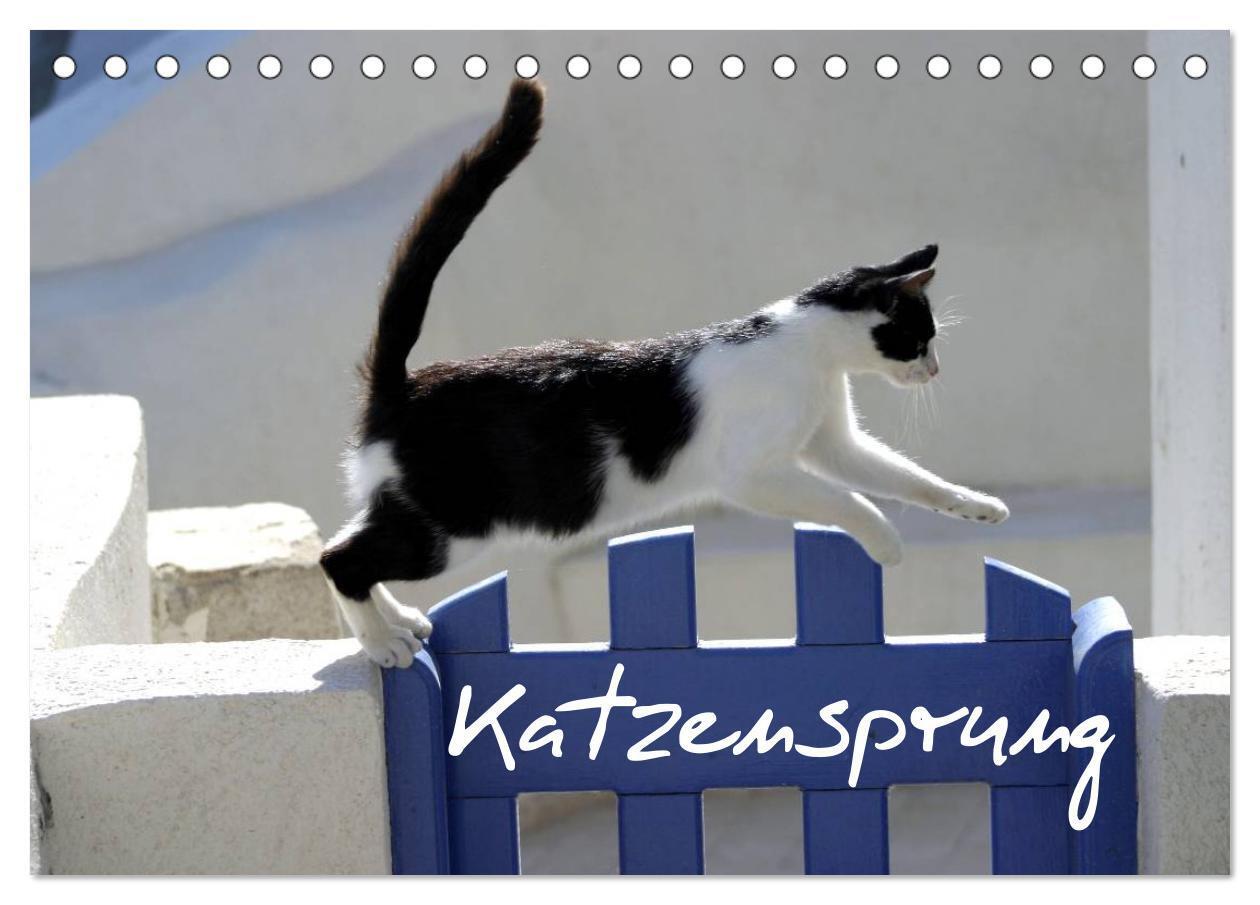 Cover: 9783435677405 | Katzensprung (Tischkalender 2025 DIN A5 quer), CALVENDO Monatskalender