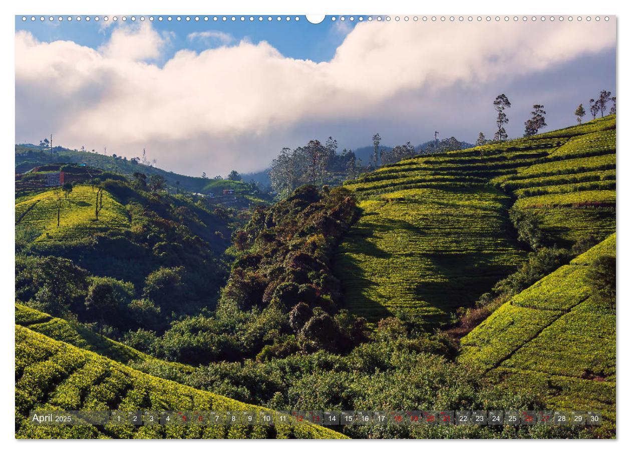 Bild: 9783435360765 | Reise nach Sri Lanka (Wandkalender 2025 DIN A2 quer), CALVENDO...