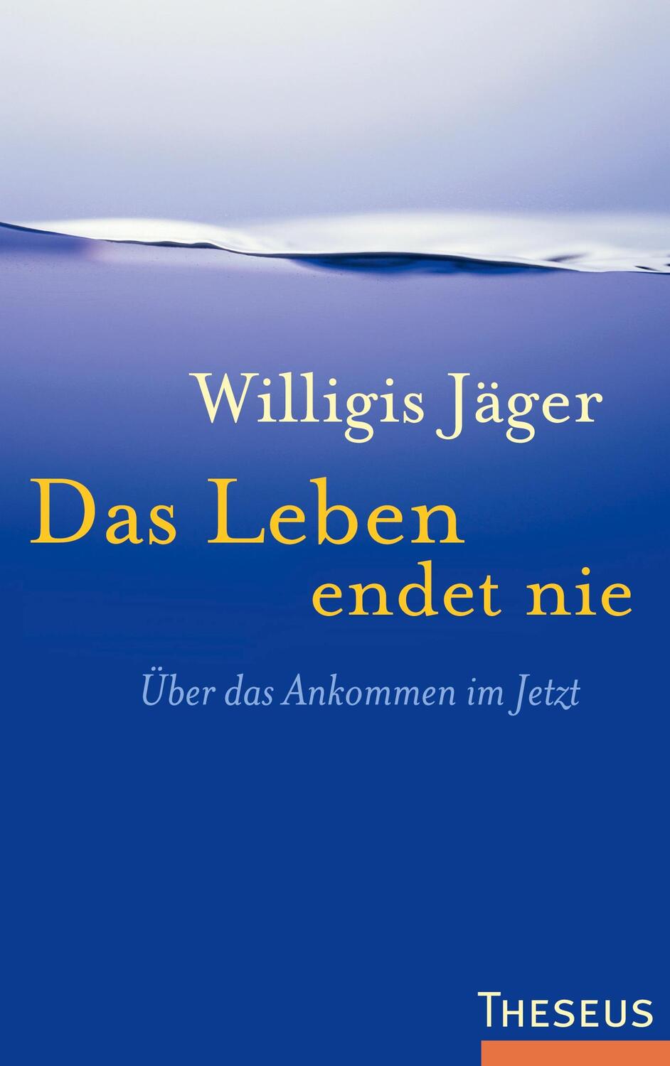 Cover: 9783899013375 | Das Leben endet nie | Über das Ankommen im Jetzt | Willigis Jäger