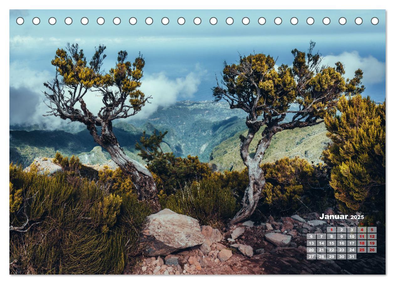 Bild: 9783383901935 | Trauminsel Madeira (Tischkalender 2025 DIN A5 quer), CALVENDO...