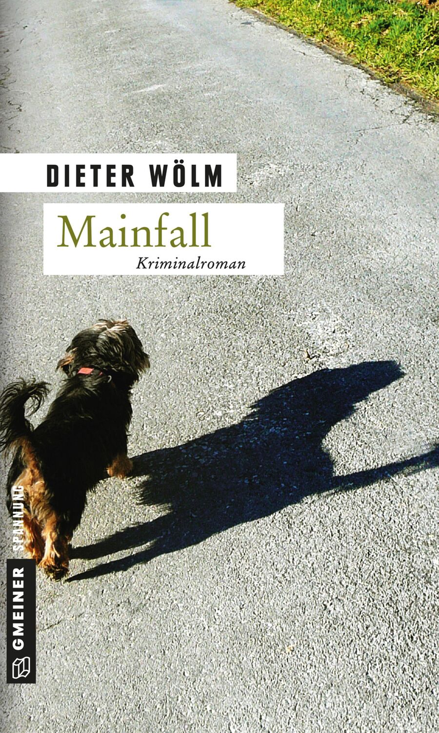 Cover: 9783839211250 | Mainfall | Dieter Wölm | Taschenbuch | Kommissar Rotfux | 377 S.