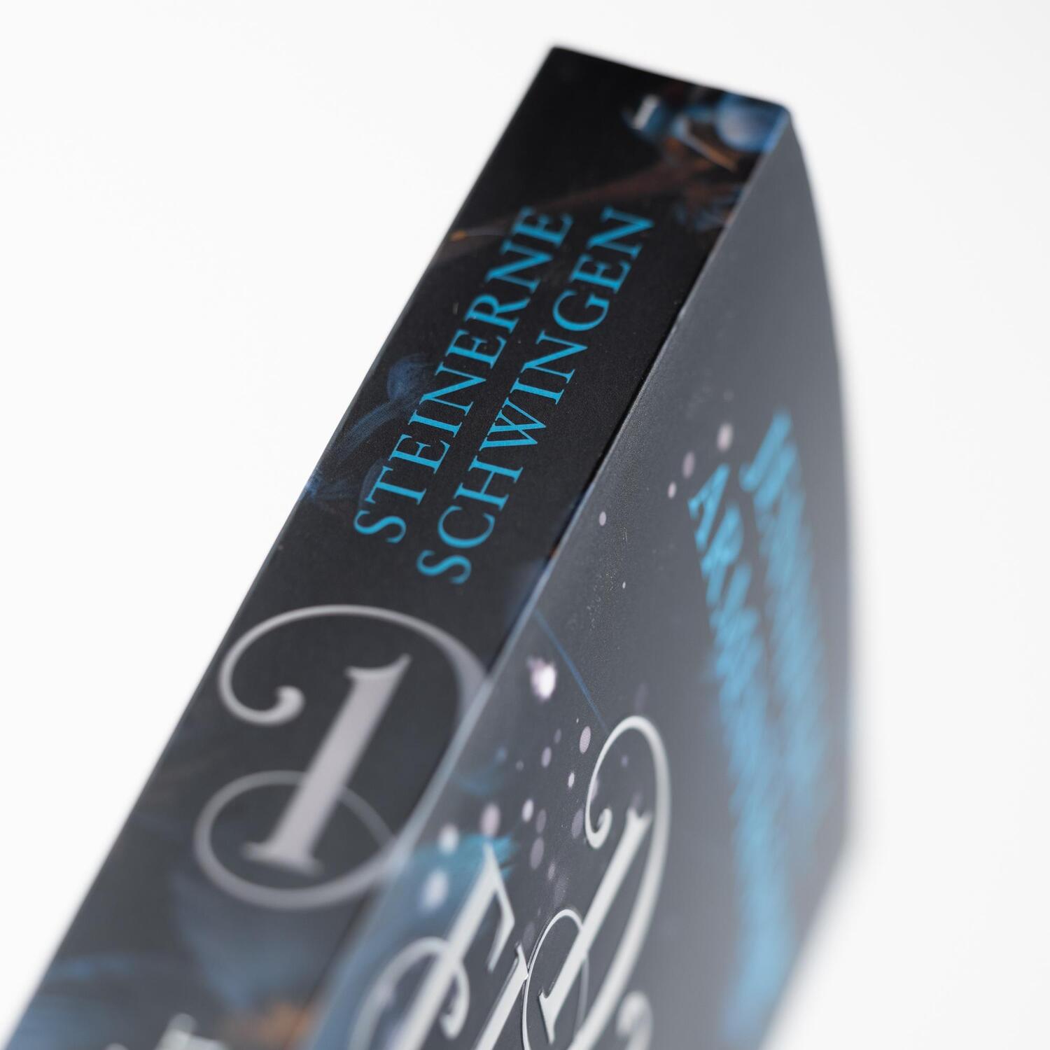 Bild: 9783365004708 | Dark Elements 1 - Steinerne Schwingen | Jennifer L. Armentrout | Buch