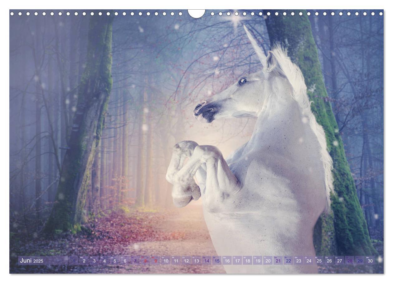 Bild: 9783435307562 | Einhorn Love - Fantasiewelt (Wandkalender 2025 DIN A3 quer),...