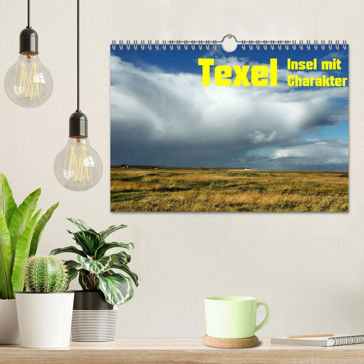 Bild: 9783435331802 | Texel Insel mit Charakter (Wandkalender 2025 DIN A4 quer), CALVENDO...