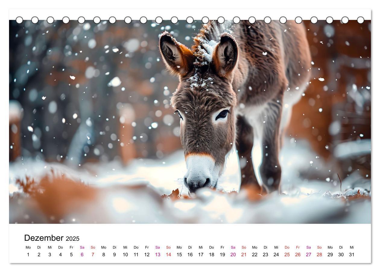 Bild: 9783457215357 | Esel - neugierige Typen (Tischkalender 2025 DIN A5 quer), CALVENDO...