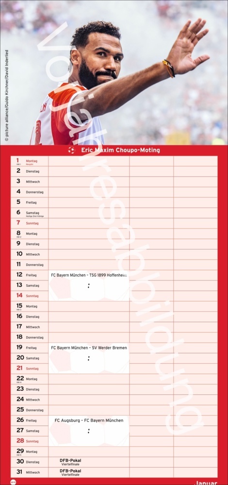 Bild: 9783756406166 | FC Bayern München Fanplaner 2025 | Kalender | Spiralbindung | 14 S.