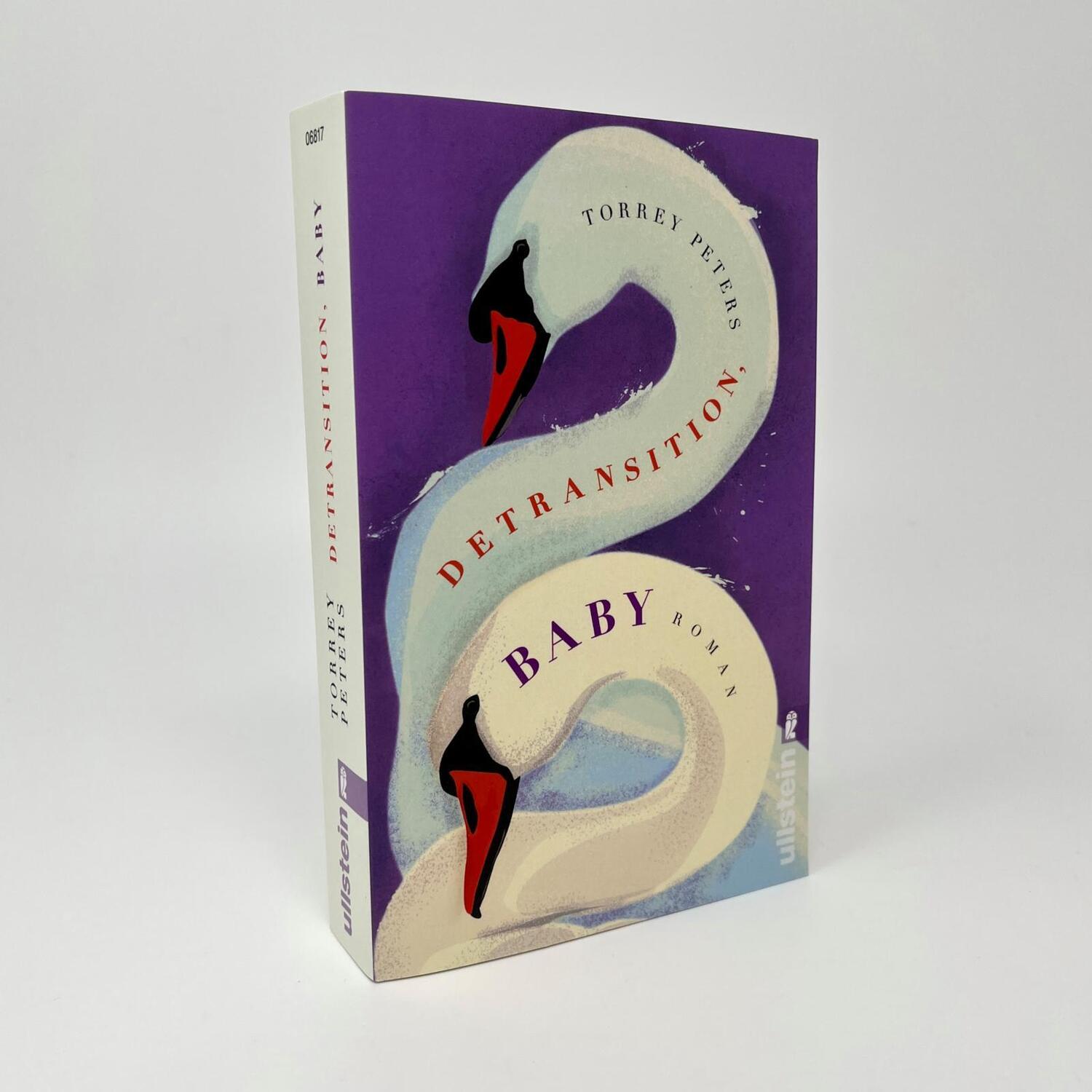 Bild: 9783548068176 | Detransition, Baby | Torrey Peters | Taschenbuch | 464 S. | Deutsch