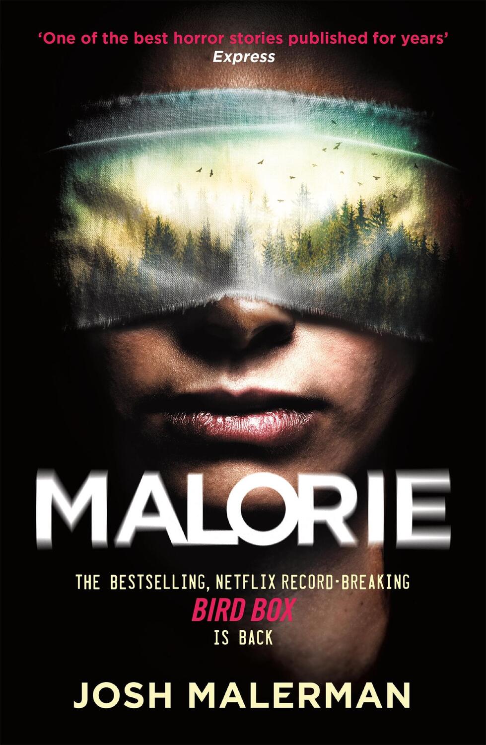 Cover: 9781409193142 | Malorie | Josh Malerman | Taschenbuch | 310 S. | Englisch | 2021