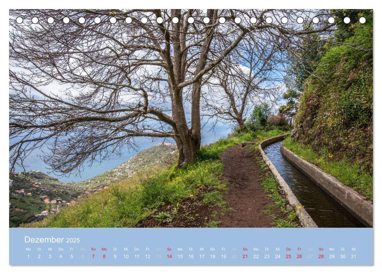 Bild: 9783435670802 | Zauberhaftes Madeira (Tischkalender 2025 DIN A5 quer), CALVENDO...