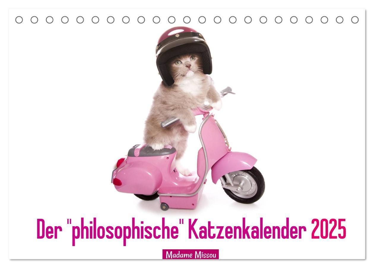 Cover: 9783435619276 | Der "philosophische" Katzenkalender 2025 (Tischkalender 2025 DIN A5...