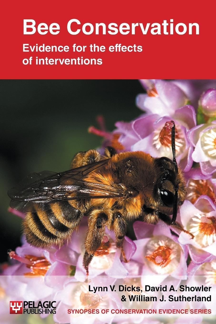 Cover: 9781907807008 | Bee Conservation | Evidence for the effects of interventions | Buch