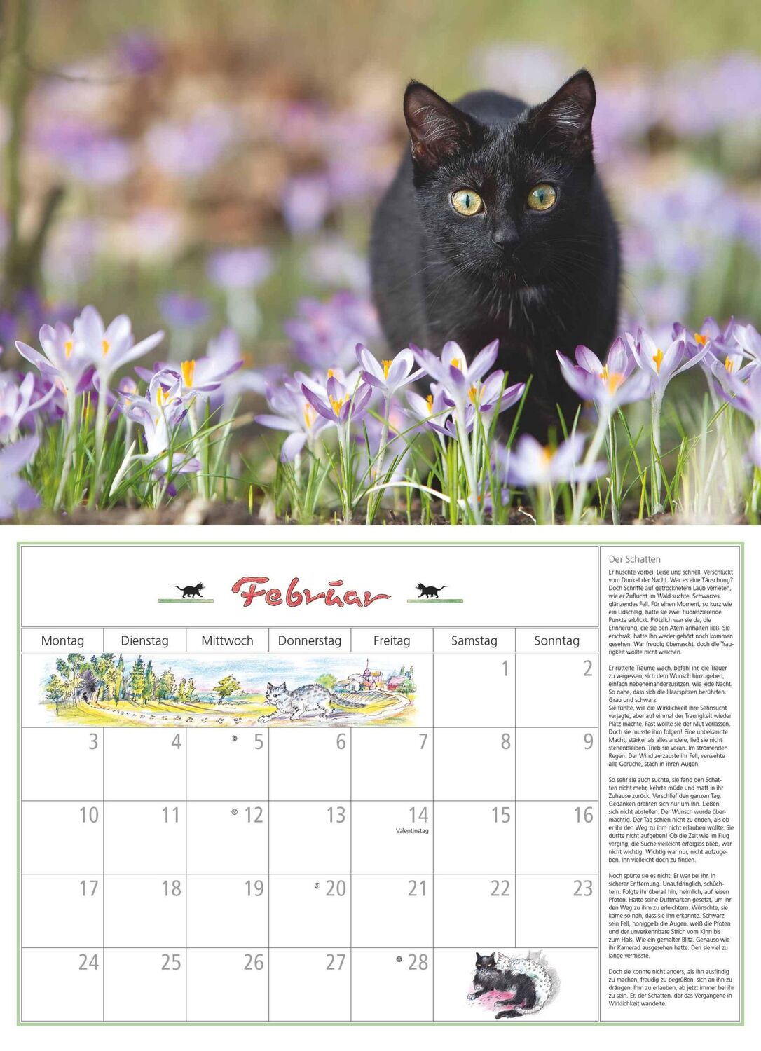 Bild: 4250809652412 | DUMONT - DUMONTS Katzenkalender 2025 Broschürenkalender, 42x29cm,...