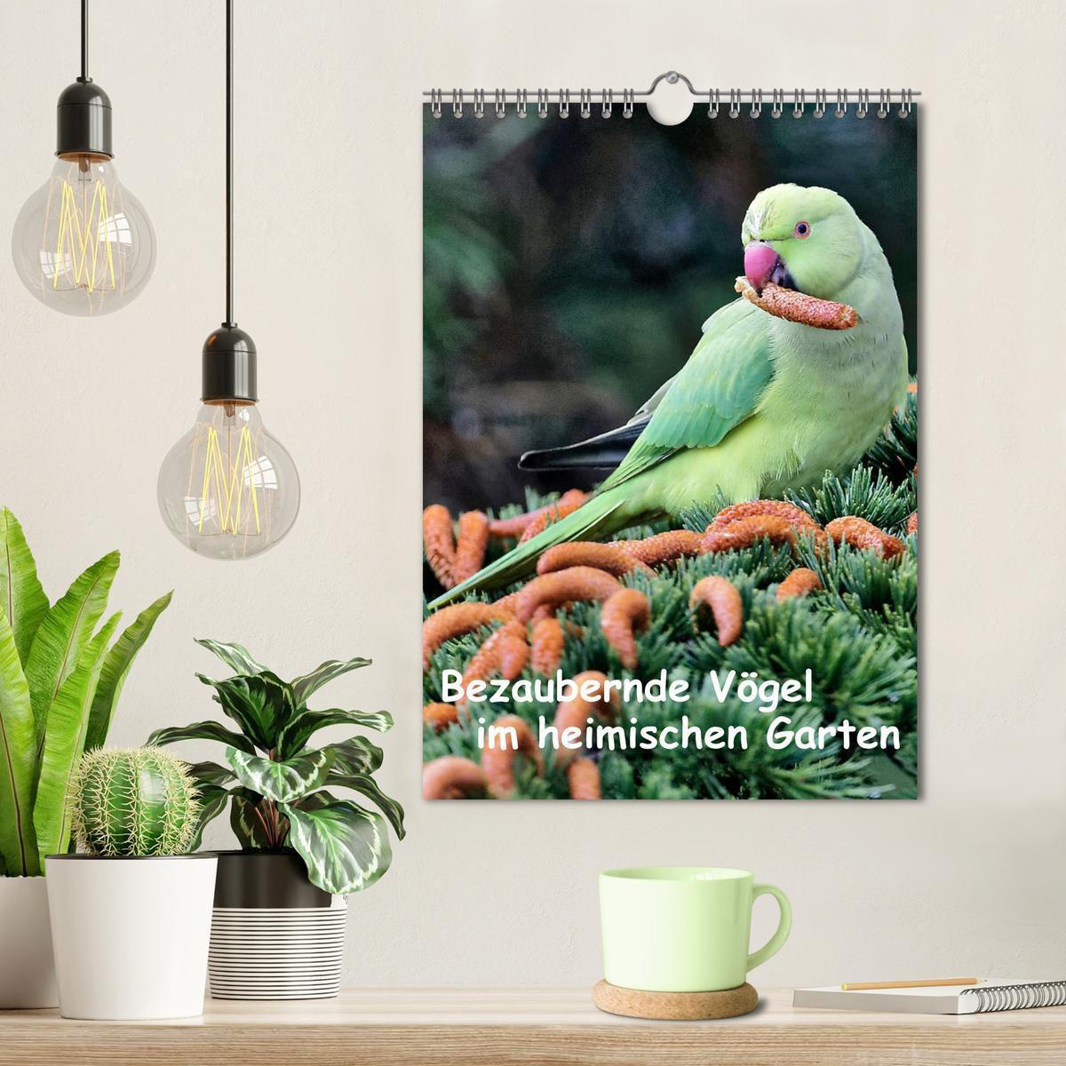 Bild: 9783457024195 | Bezaubernde Vögel im heimischen Garten (Wandkalender 2025 DIN A4...