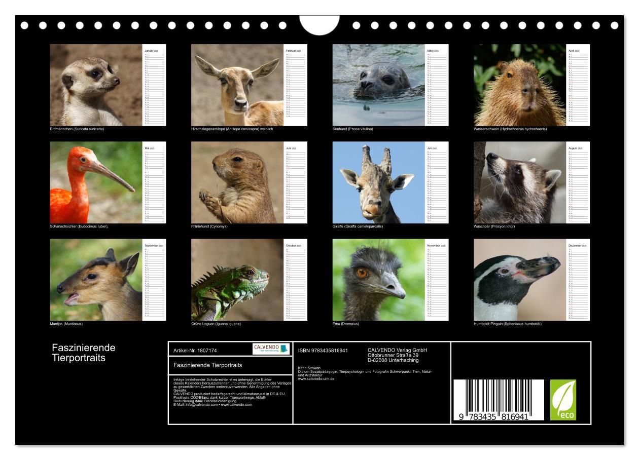 Bild: 9783435816941 | Faszinierende Tierportraits (Wandkalender 2025 DIN A4 quer),...