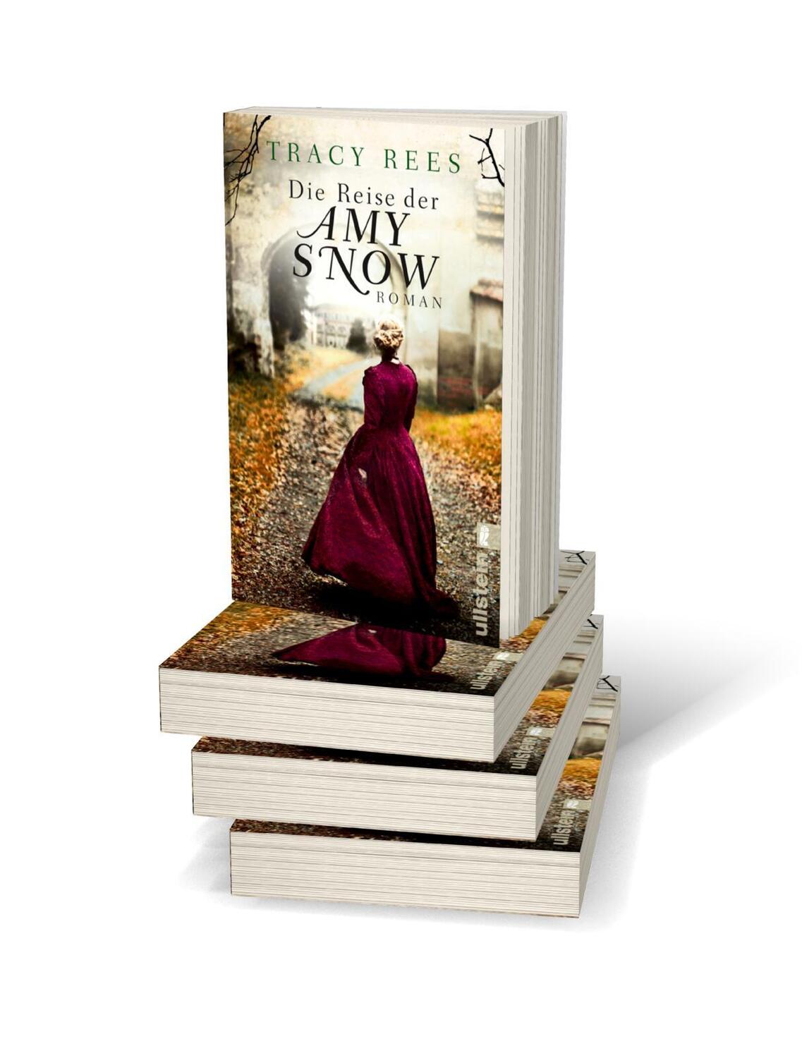 Bild: 9783548289809 | Die Reise der Amy Snow | Tracy Rees | Taschenbuch | 496 S. | Deutsch