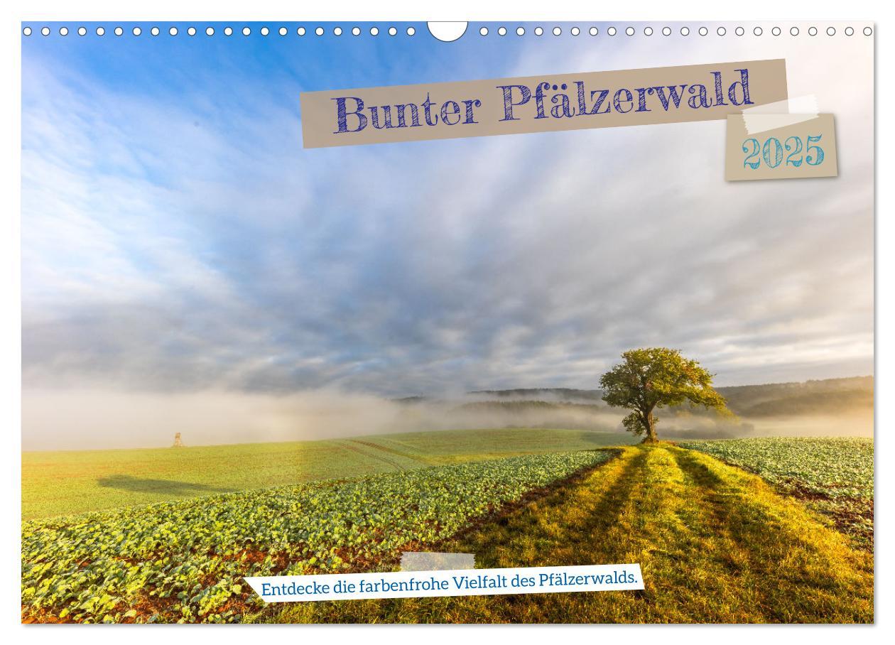 Cover: 9783457197554 | Bunter Pfälzerwald (Wandkalender 2025 DIN A3 quer), CALVENDO...