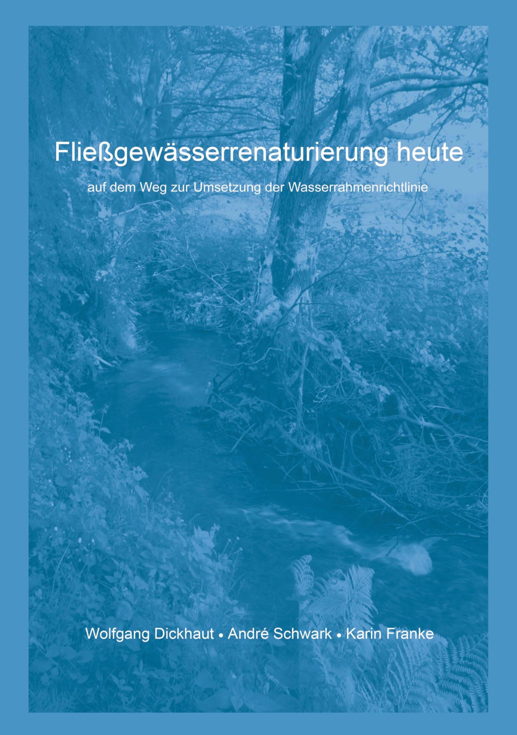 Cover: 9783833449680 | Fließgewässerrenaturierung heute | Wolfgang Dickhaut (u. a.) | Buch