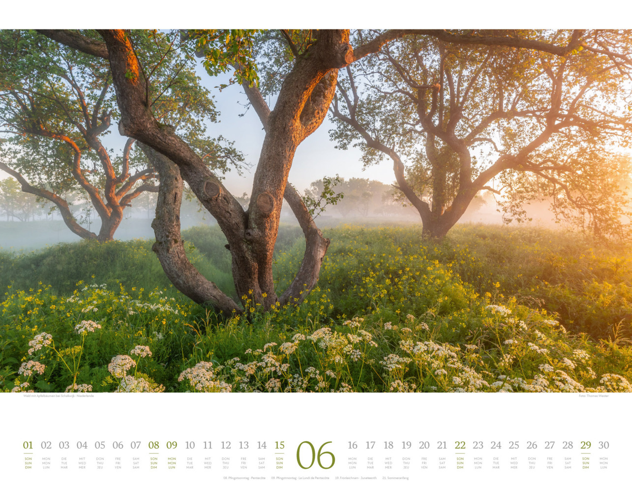 Bild: 9783838425382 | Morgenlicht Kalender 2025 | Ackermann Kunstverlag | Kalender | 14 S.