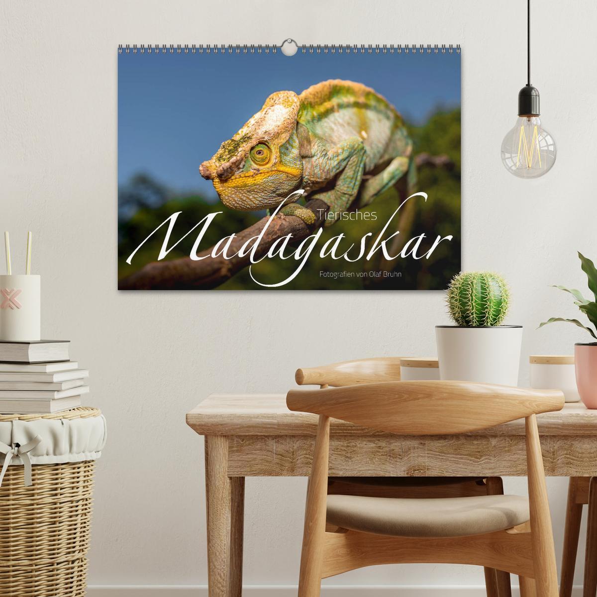 Bild: 9783435282296 | Tierisches Madagaskar (Wandkalender 2025 DIN A3 quer), CALVENDO...