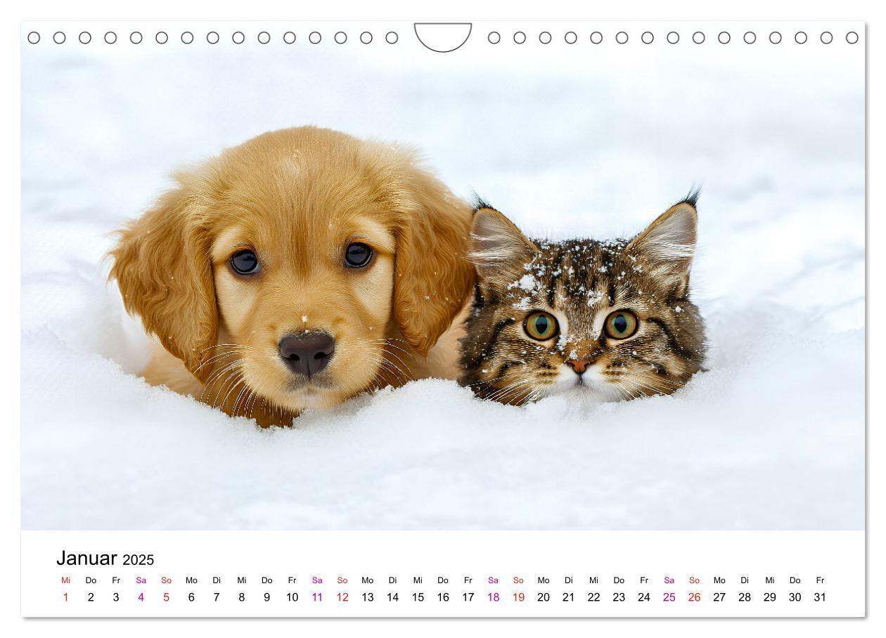 Bild: 9783457218242 | Katzenzauber - Samtpfoten im Jahreslauf (Wandkalender 2025 DIN A4...