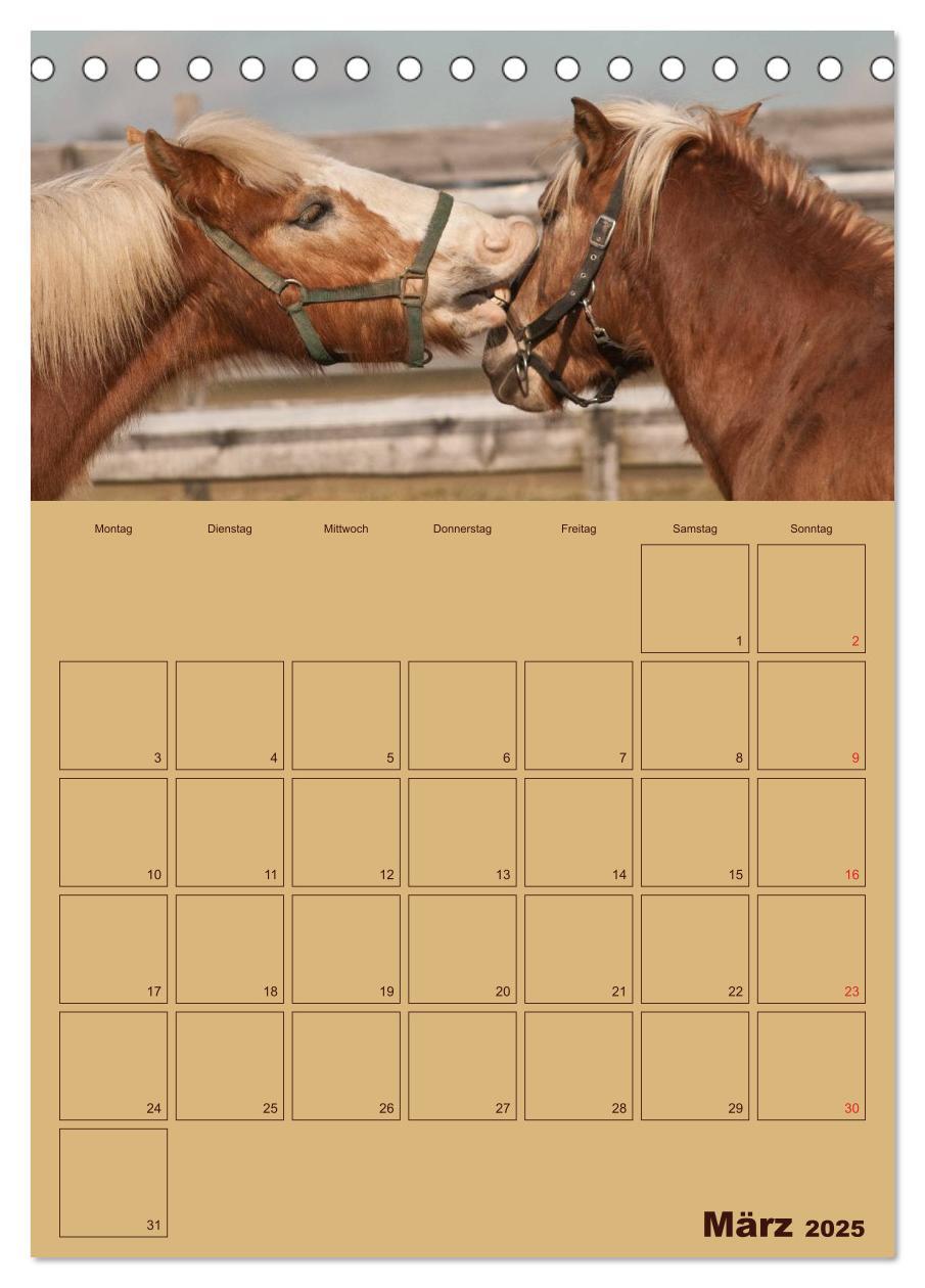 Bild: 9783457030592 | Pferde Gute Freunde (Tischkalender 2025 DIN A5 hoch), CALVENDO...