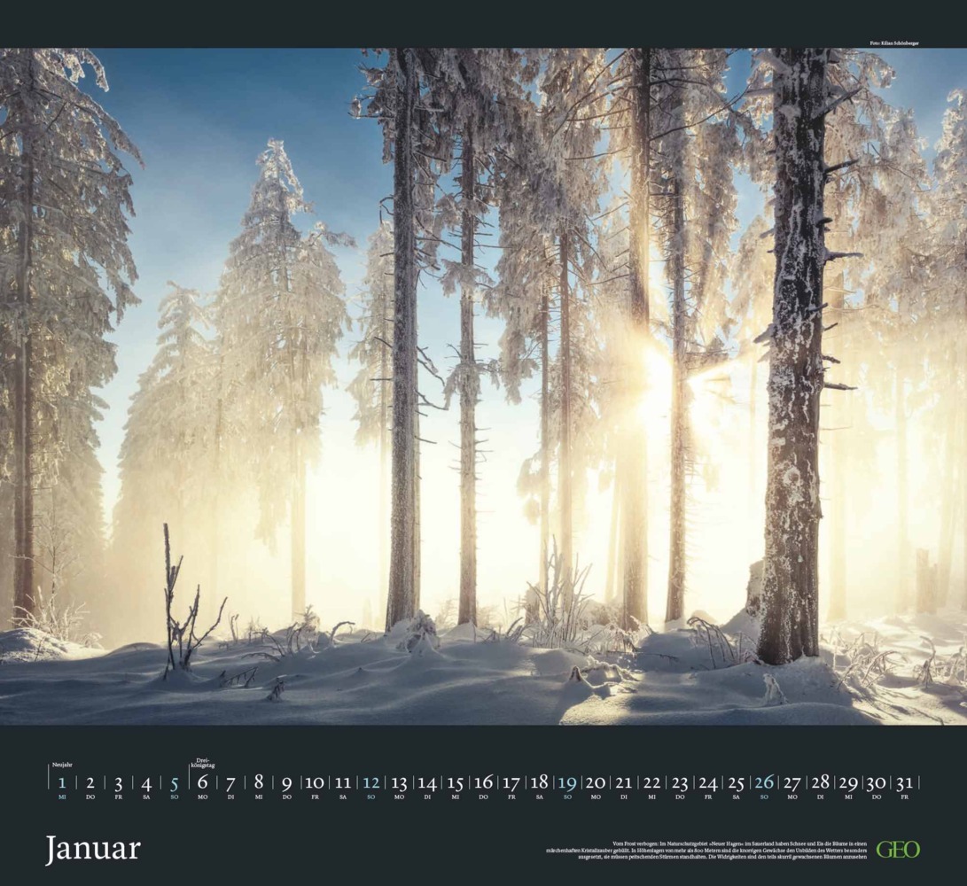 Bild: 4002725988683 | GEO - Sehnsucht Wald Wandkalender 2025 - Eindrucksvoller...