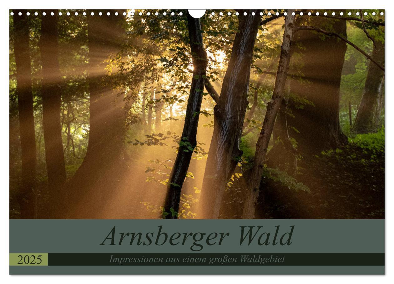 Cover: 9783435241507 | Arnsberger Wald (Wandkalender 2025 DIN A3 quer), CALVENDO...