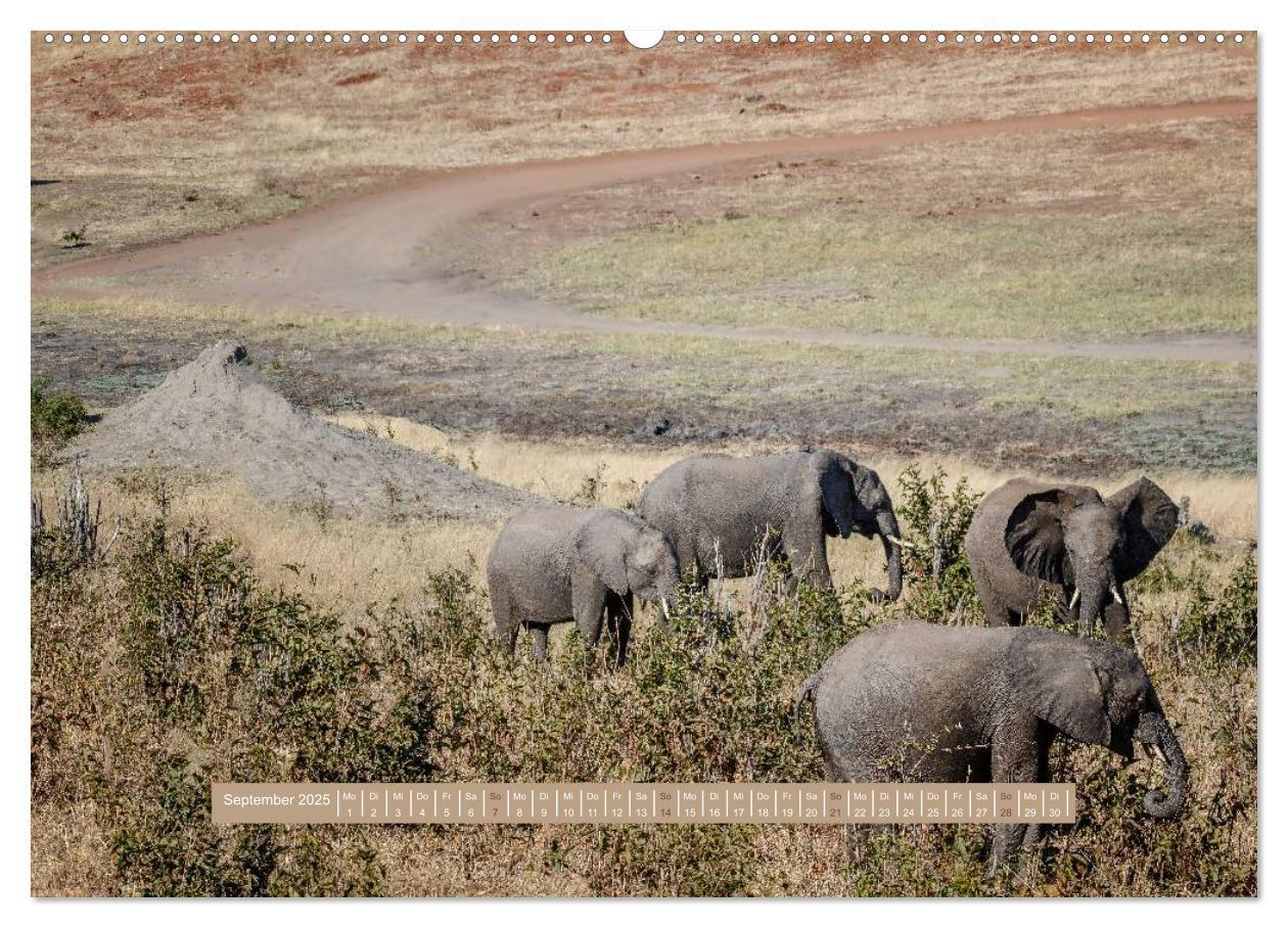 Bild: 9783435577781 | Afrikas Tierwelt - Wilde Elefanten (Wandkalender 2025 DIN A2 quer),...