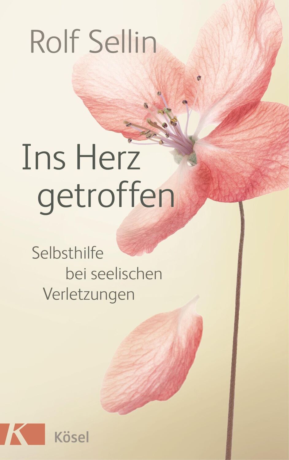 Cover: 9783466346387 | Ins Herz getroffen | Selbsthilfe bei seelischen Verletzungen | Sellin