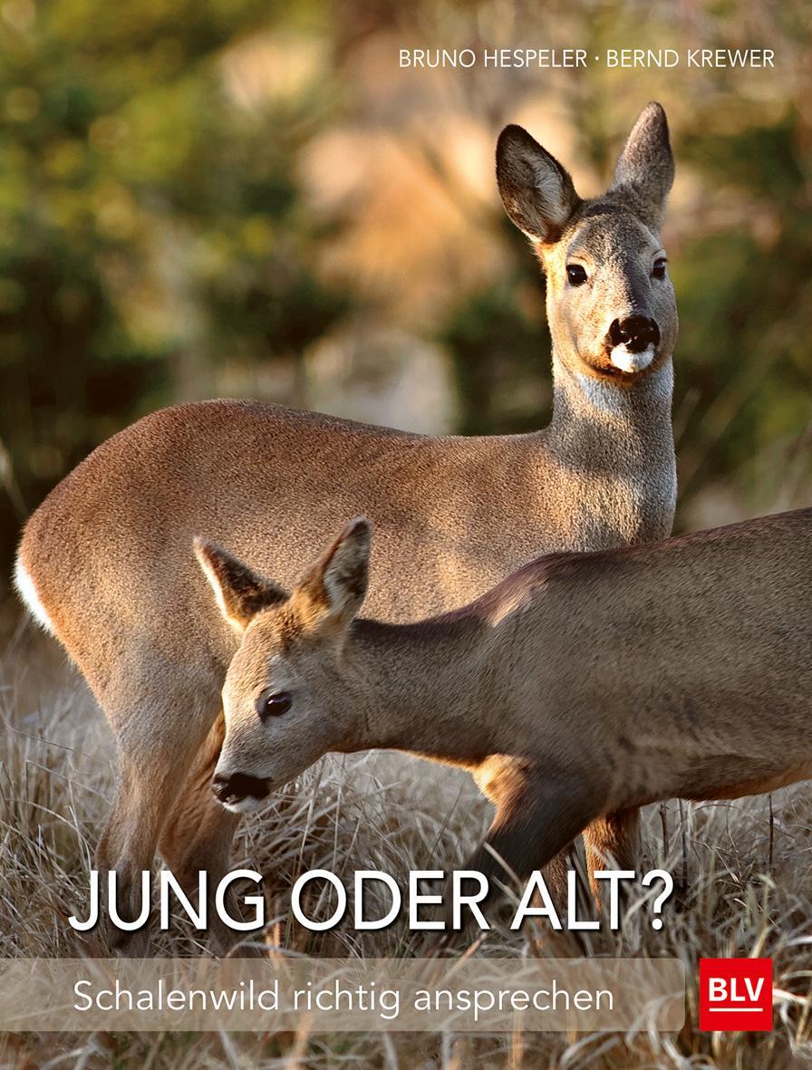 Cover: 9783835415003 | Jung oder alt? | Schalenwild richtig ansprechen | Hespeler (u. a.)