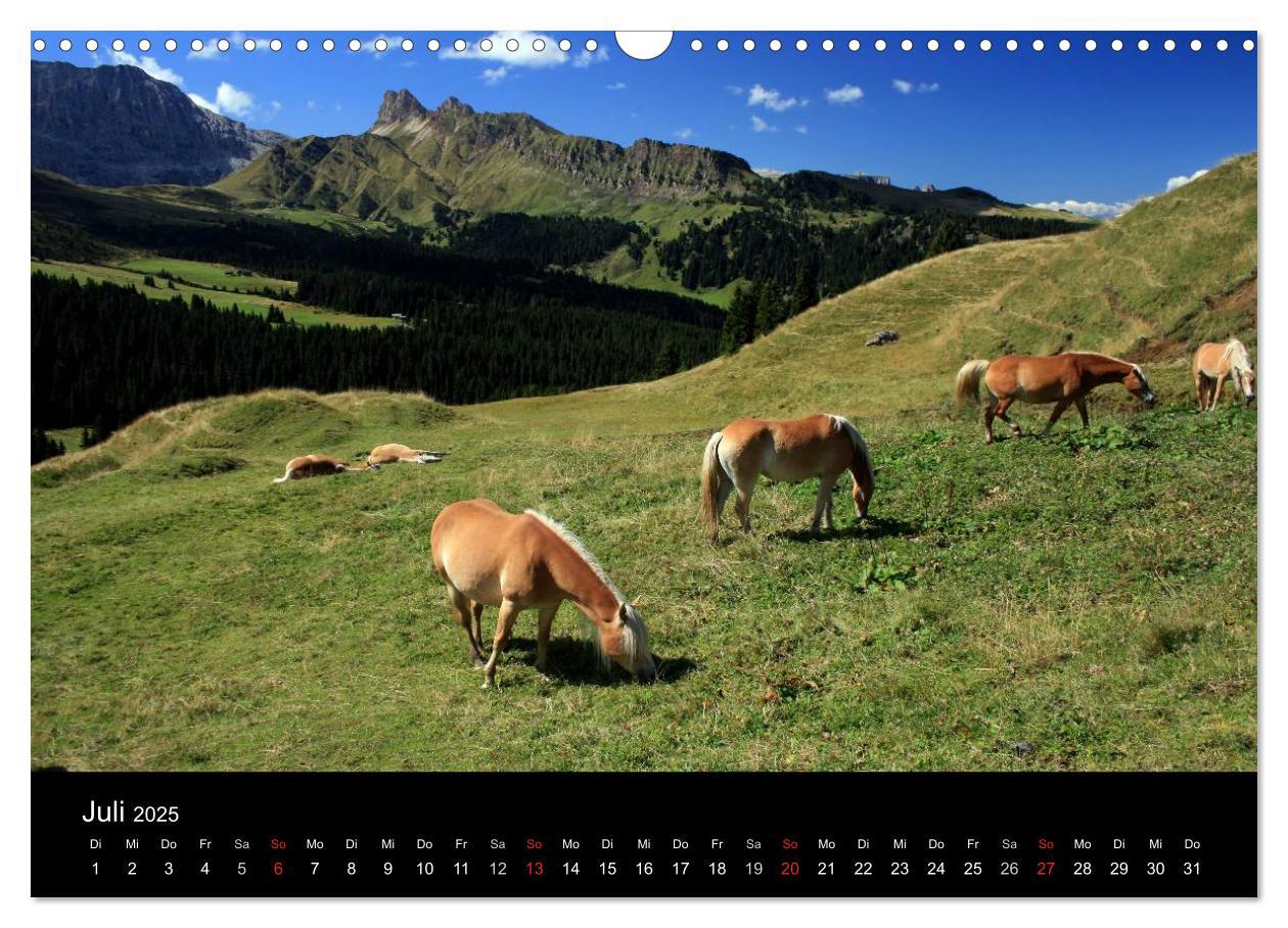 Bild: 9783435473861 | Alpe di Siusi - Seiser Alm (Wandkalender 2025 DIN A3 quer),...