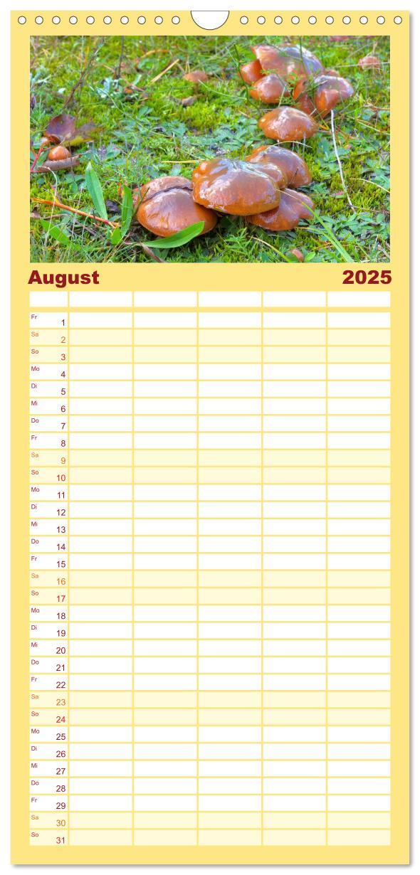 Bild: 9783457104149 | Familienplaner 2025 - Heimische Pilze mit 5 Spalten (Wandkalender,...