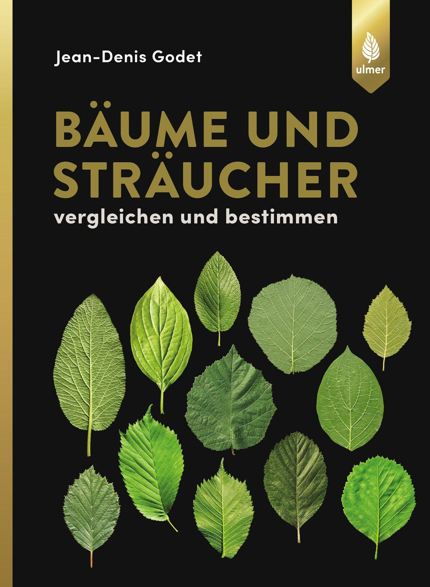 Cover: 9783800177363 | Bäume und Sträucher | Vergleichen und bestimmen | Jean-Denis Godet