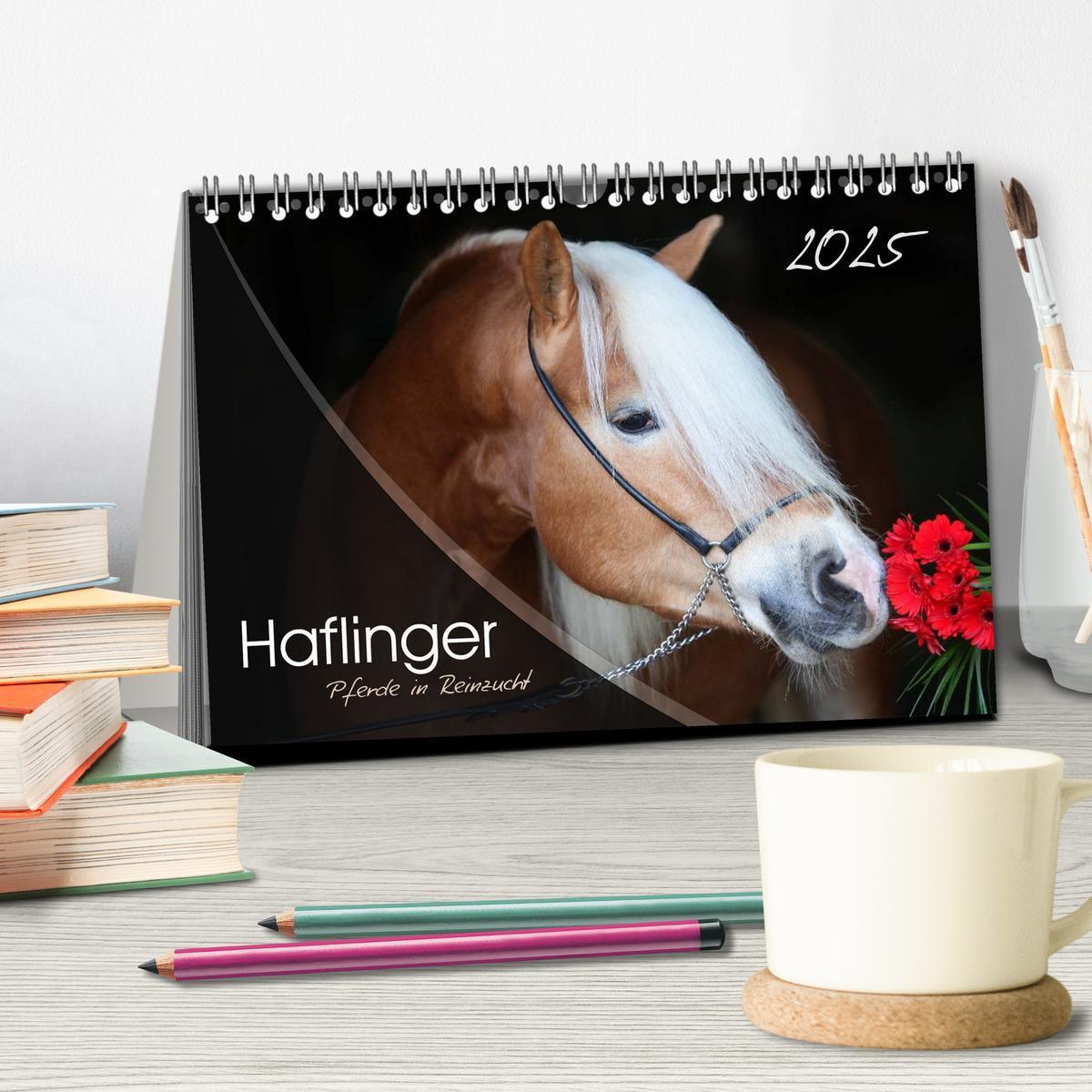 Bild: 9783435504121 | Haflinger-Pferde in Reinzucht (Tischkalender 2025 DIN A5 quer),...