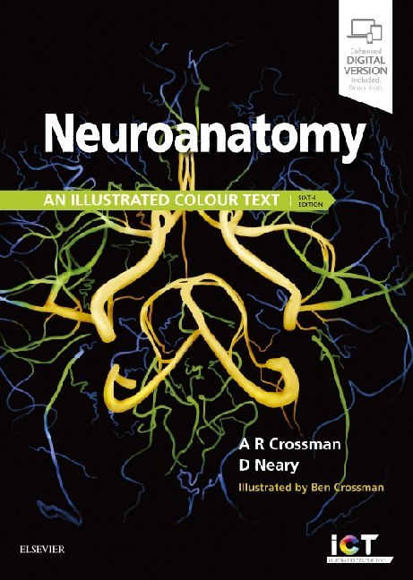 Cover: 9780702074622 | Neuroanatomy: an Illustrated Colour Text | Alan R. Crossman (u. a.)